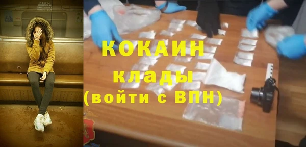 крисы Гусь-Хрустальный