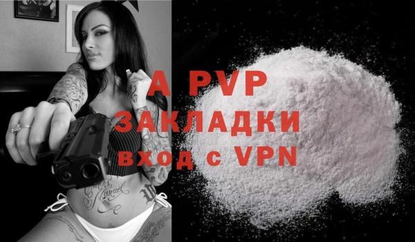 крисы Гусь-Хрустальный