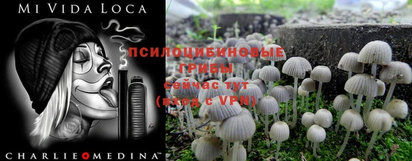 метамфетамин Гусев