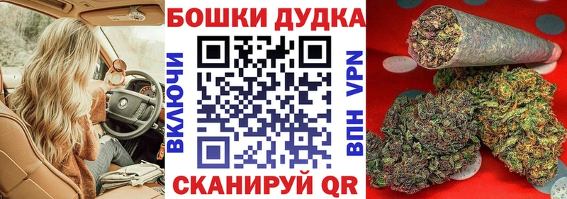 Купить закладки  Называевск  Шишки марихуана планчик 